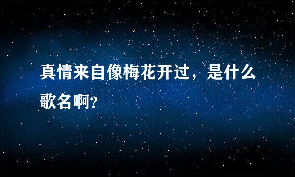 真情来自像梅花开过，是什么歌名啊？