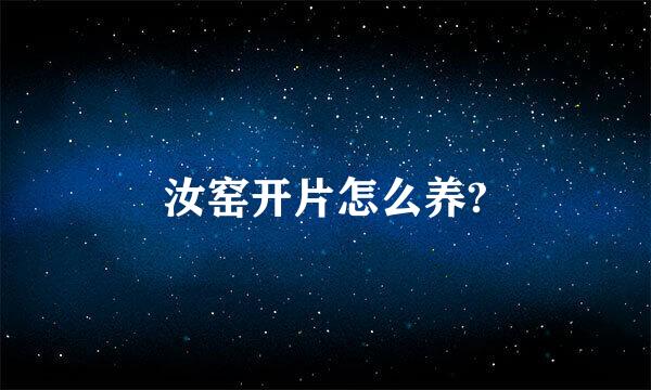 汝窑开片怎么养?