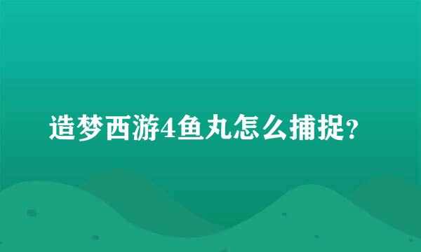 造梦西游4鱼丸怎么捕捉？