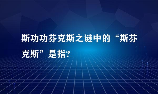 斯功功芬克斯之谜中的“斯芬克斯”是指?