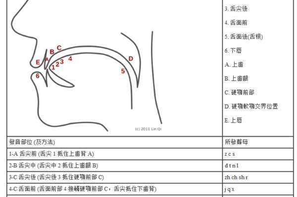 汉语拼音中的平舌音和翘舌音有哪些？