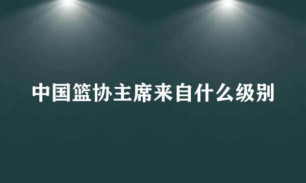 中国篮协主席来自什么级别