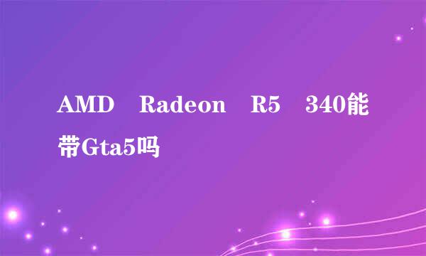 AMD Radeon R5 340能带Gta5吗