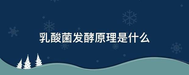 乳酸菌发酵原讨源赵么顾理是什么