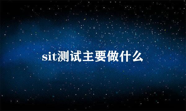 sit测试主要做什么