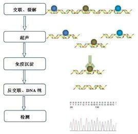 chip实来自验原理及步骤