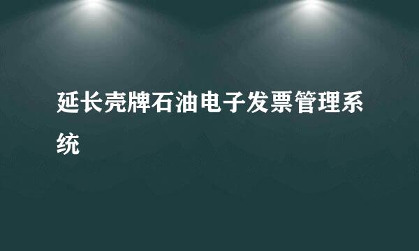 延长壳牌石油电子发票管理系统