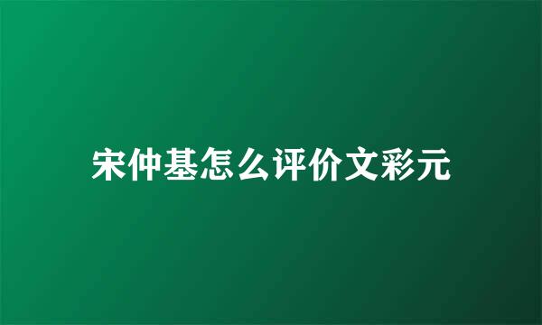 宋仲基怎么评价文彩元