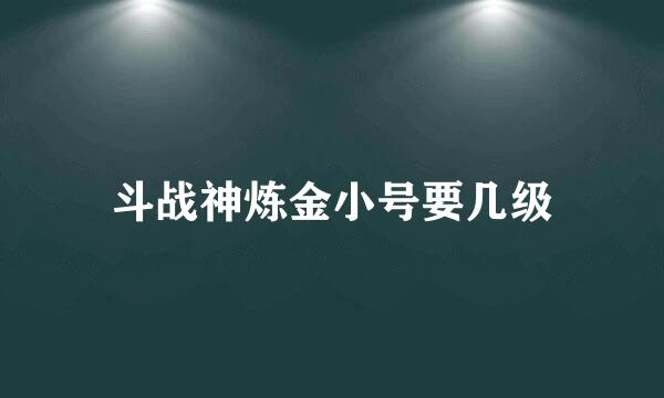 斗战神炼金小号要几级