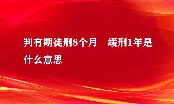 判有期徒刑8个月 缓刑1年是什么意思