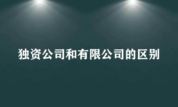 独资公司和有限公司的区别