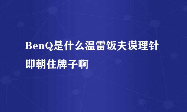 BenQ是什么温雷饭夫误理针即朝住牌子啊