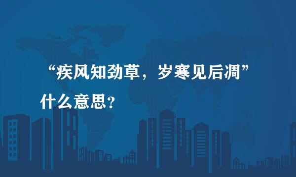 “疾风知劲草，岁寒见后凋”什么意思？