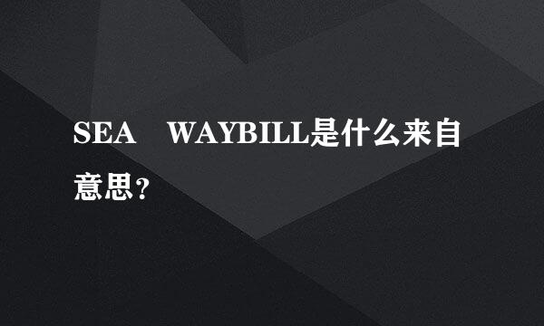 SEA WAYBILL是什么来自意思？