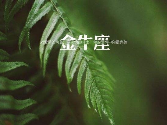 怎来自样追求金牛座女生？