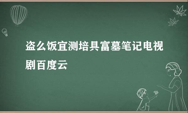 盗么饭宜测培具富墓笔记电视剧百度云