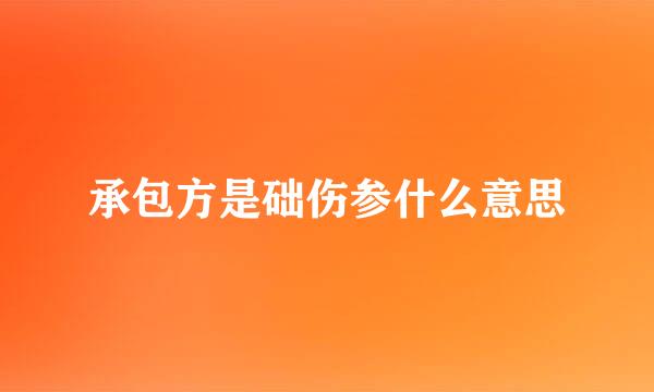 承包方是础伤参什么意思