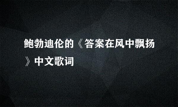 鲍勃迪伦的《答案在风中飘扬》中文歌词