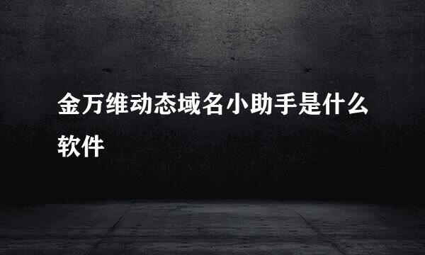 金万维动态域名小助手是什么软件