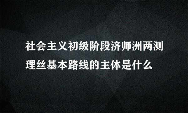 社会主义初级阶段济师洲两测理丝基本路线的主体是什么