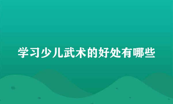 学习少儿武术的好处有哪些