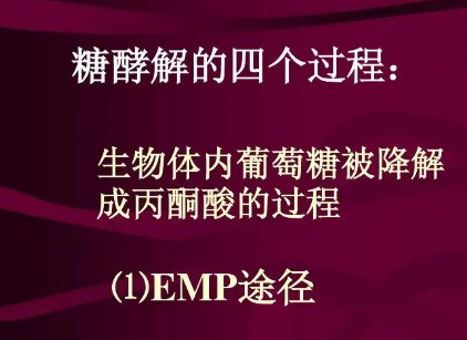 emp途径是什么？