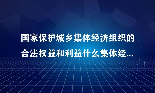 国家保护城乡集体经济组织的合法权益和利益什么集体经济的发展