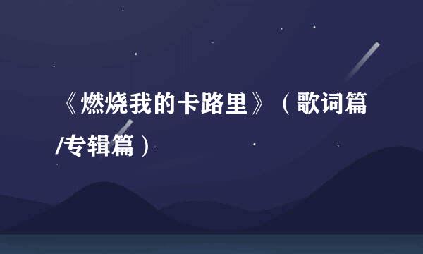 《燃烧我的卡路里》（歌词篇/专辑篇）