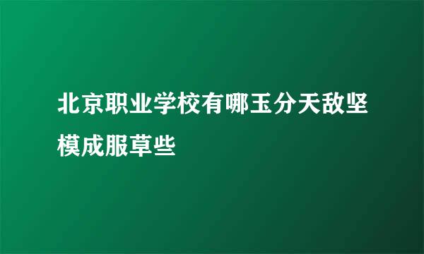 北京职业学校有哪玉分天敌坚模成服草些