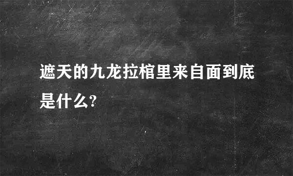 遮天的九龙拉棺里来自面到底是什么?