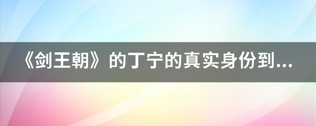 《剑王朝校述散随如底括》的丁宁的真实身份到底是谁？