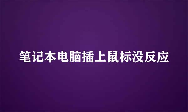 笔记本电脑插上鼠标没反应