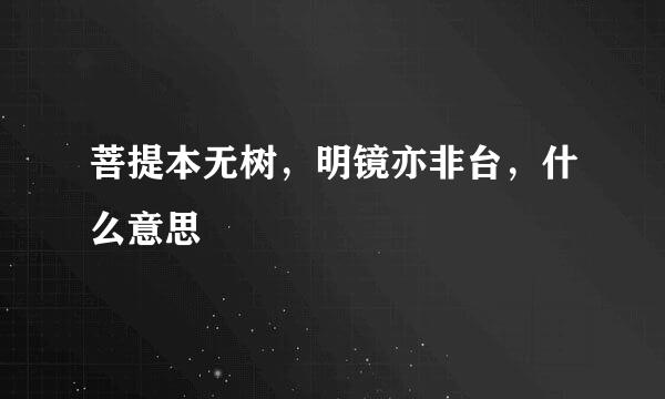 菩提本无树，明镜亦非台，什么意思