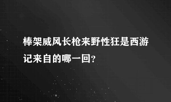 棒架威风长枪来野性狂是西游记来自的哪一回？