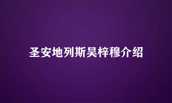 圣安地列斯吴梓穆介绍