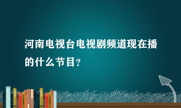 河南电视台电视剧频道现在播的什么节目？