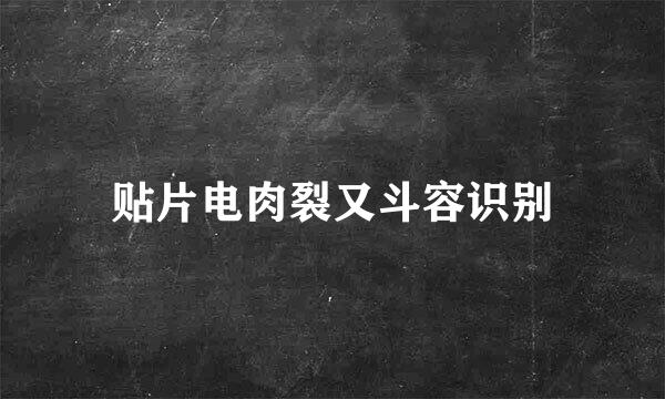 贴片电肉裂又斗容识别