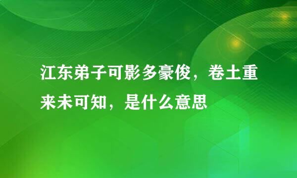 江东弟子可影多豪俊，卷土重来未可知，是什么意思