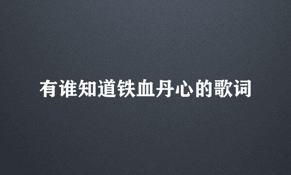 有谁知道铁血丹心的歌词