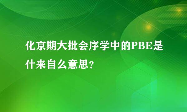 化京期大批会序学中的PBE是什来自么意思？