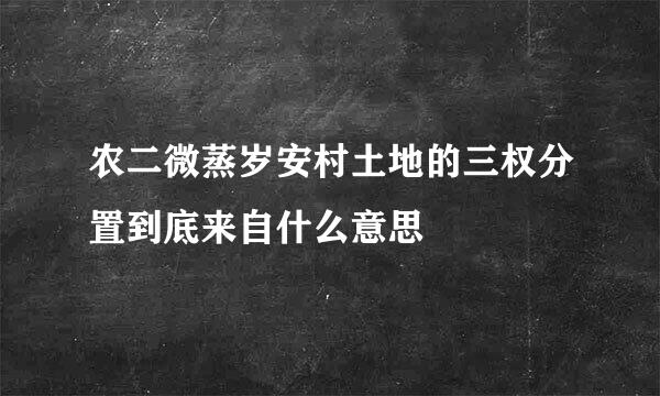 农二微蒸岁安村土地的三权分置到底来自什么意思