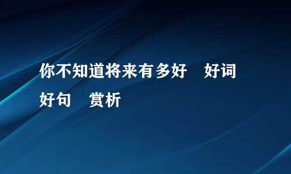 你不知道将来有多好 好词 好句 赏析