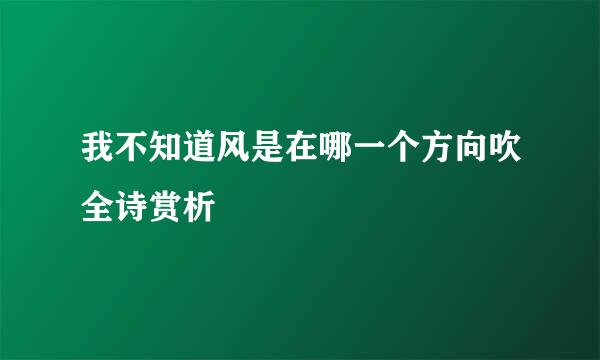 我不知道风是在哪一个方向吹全诗赏析