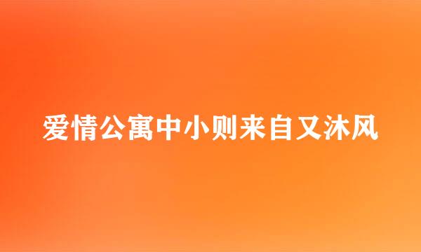 爱情公寓中小则来自又沐风