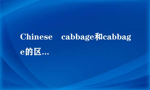 Chinese cabbage和cabbage的区别说得详细一点