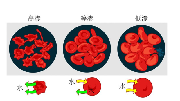 渗透压大小怎么比较