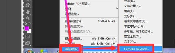 如何在photoshop中打开Camera Raw