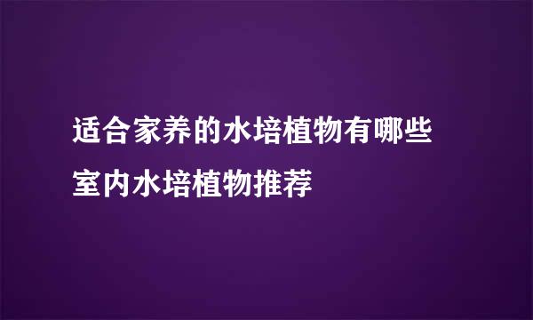 适合家养的水培植物有哪些 室内水培植物推荐