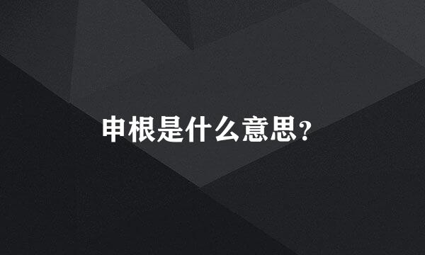 申根是什么意思？