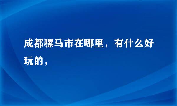 成都骡马市在哪里，有什么好玩的，